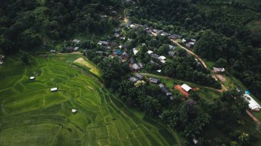 Pirinç tarlalarının kenarındaki köy.