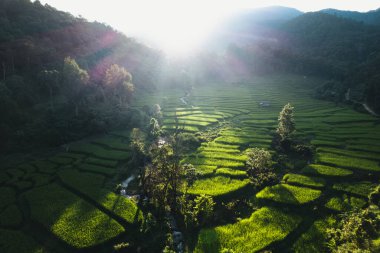 Pirinç tarlalarının ve dağların akşam manzarası