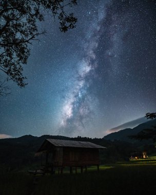 Gece gökyüzü ve Samanyolu ve pirinç tarlasında duran adam