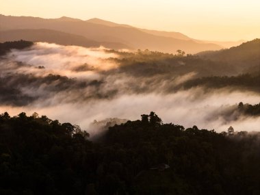 Sabahları dağ ve sis, yüksek açı, doğa fotoğrafı, doğa koruma ve orman, doğal enerji.