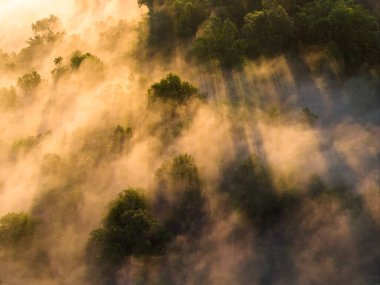 Sabahları dağ ve sis, yüksek açı, doğa fotoğrafı, doğa koruma ve orman, doğal enerji.