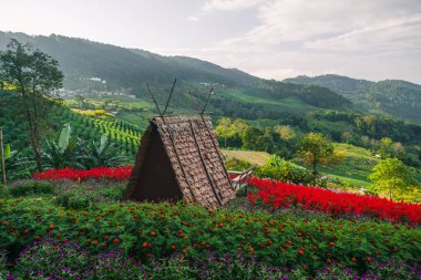 Çiçek tarlasının ortasında bir kulübe ve yaz dağı manzarası