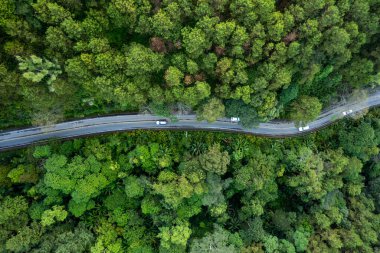 Yol ve yeşil ağaçların yüksek açılı görüntüsü Yollar ve ulaşım