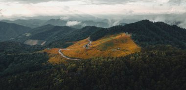 Akşamları dağlar ve sarı çiçek tarlaları, çiçek tarlaları.