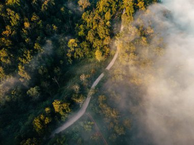 Orman yolu hava manzarası. Yüksek açılı yol ve sabah güneşli sis manzarası.