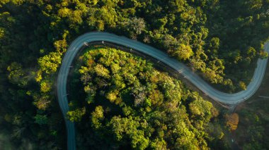 Yüksek açılı orman ve çiftlik yolu, seyahat, yeşil ulaşım, hava manzarası