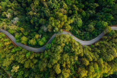Yeşil ağaçla kaplı bir yol gür bir arazide esiyor, orman tepelerini yansıtıyor, yol seyahati, doğal yol ulaşımı ve doğa koruma