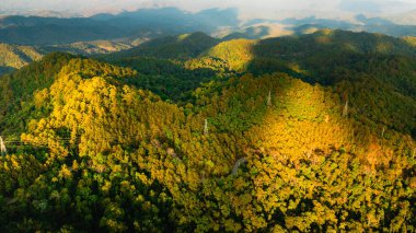 Yaz sabahı dağlarda bulutlar, ağaçlar ve manzaralı bir vadi manzarası, ormanlar ve el değmemiş doğa, doğa koruma