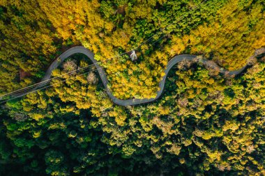 Yol ve ormanın havadan görünüşü. Yazın doğal ormandan geçen yol. Turizm, ulaşım, doğa koruma ve seyahat.