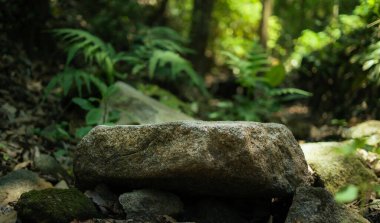Kaya üzerinde taş podyum Gerçek ormandaki derede, yeşil orman ve arka planda bulanık doğal manzara.