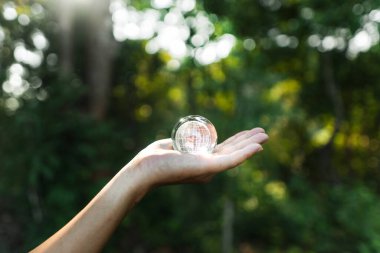 Doğanın arka planında cam küre, dünyayı ve çevre kavramını korumak,