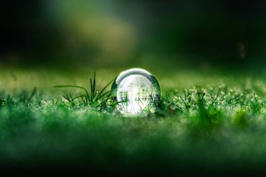 Sabahları çim üstünde küre. Dünya ve çevre kavramı. Sürdürülebilir ortam için arkaplan.
