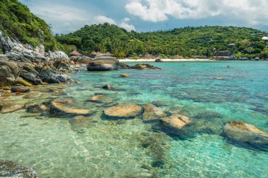 Bir körfezin yaz tatili manzarası ve Koh Tao 'da kayalar ve mercanlarla dolu açık mavi plaj..