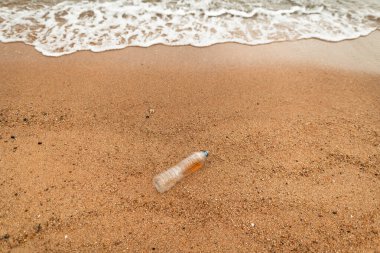 Plajda plastik şişeler, plajda çöp.