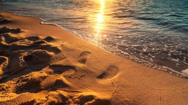Sabahları kumsal ve dalgaların ışığı, yaz, tropikal deniz