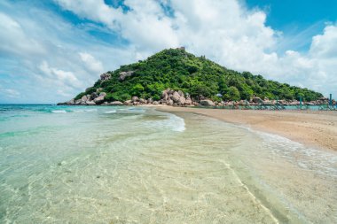 Tropik deniz ve adalar, kristal berrak su ve Koh Nang Yuan sahilleri.