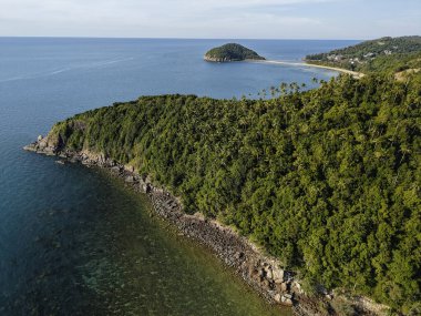  Palmiye ağaçları ve berrak mercan resifleriyle dolu bereketli tropikal kıyı şeridinin havadan görünüşü