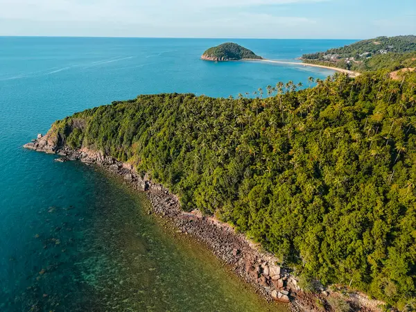  Palmiye ağaçları ve berrak mercan resifleriyle dolu bereketli tropikal kıyı şeridinin havadan görünüşü