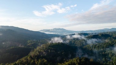 Ormanda ve dağlarda sabah sisi