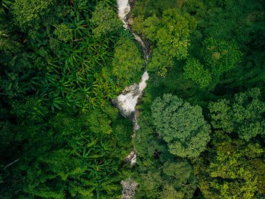 Doğal şelaleler, hava manzarası, su birikintileri ve çevresel koruma