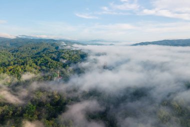 Ormanda ve dağlarda sabah sisi