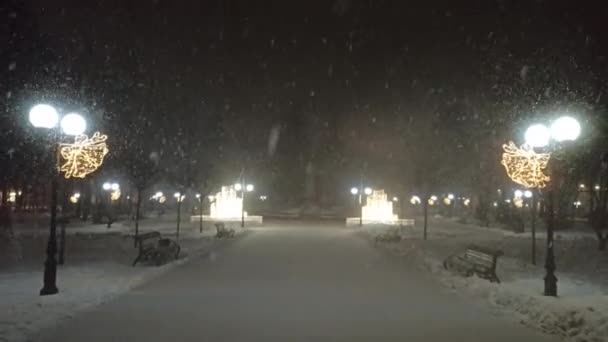 有闪亮灯笼的冬季公园 下雪时的空旷公园 空旷的城市公园里下着雪 夜幕降临时 城里点着灯笼 下着雪 下雪期间的城市小巷 城市里的冬天多雪 冬季天气 — 图库视频影像
