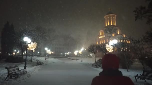 雪の中 孤独な女性が街を歩く 夜市の雪に提灯をつけて 降雪中の街の路地 街の雪の冬 公園で豪雪 冬の天気 雪だよ — ストック動画