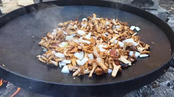 用洋葱烹调油炸香葱的过程 野生蘑菇盘 在大平底锅上做菜 森林菜 烹调美味的蘑菇菜 油炸切条 天然食物 — 图库视频影像
