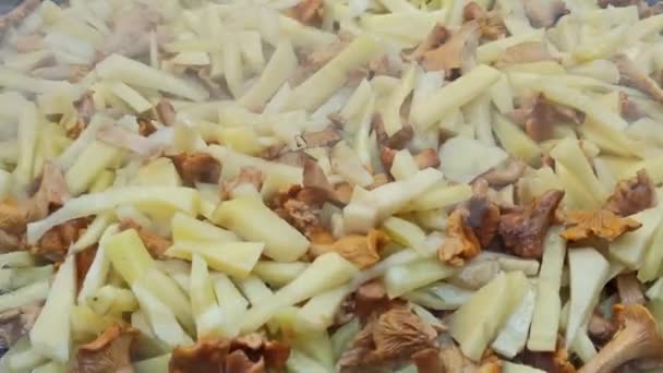 Proceso Cocción Rebozuelos Fritos Con Patatas Plato Champiñones Plato Madera — Vídeo de stock