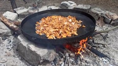Kızarmış mantar pişirme işlemi. Yaban mantarı yemeği. Büyük tavada Chanterelles pişiriyorum. Orman yemeği. Lezzetli mantar yemekleri pişiriyorum. Kızarmış mantarlar.