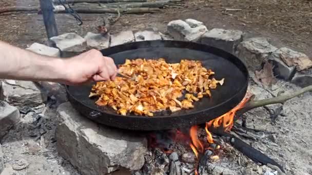Prozess Des Kochens Gebratener Pfifferlinge Pilzgericht Pfifferlinge Auf Großer Pfanne — Stockvideo