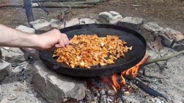Kızarmış mantar pişirme işlemi. Yaban mantarı yemeği. Büyük tavada Chanterelles pişiriyorum. Orman yemeği. Lezzetli mantar yemekleri pişiriyorum. Kızarmış mantarlar.