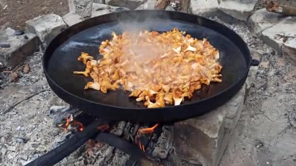 烹调油炸香奈儿 野生蘑菇盘 在大平底锅上做菜 森林菜 烹调美味的蘑菇菜 油炸切条 煮好吃的菜 — 图库视频影像