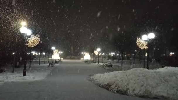 有闪亮灯笼的冬季公园 下雪时的空旷公园 空旷的城市公园里下着雪 夜幕降临时 城里点着灯笼 下着雪 下雪期间的城市小巷 城市里的冬天多雪 冬季天气 — 图库视频影像