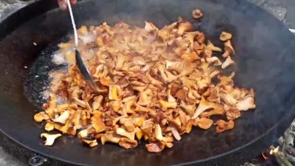 Cooking Fried Chanterelles Wild Mushroom Dish Cooking Chanterelles Big Pan — Stock Video