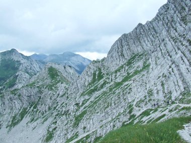 Dağlarda dolaşmak. Dağlarda yürüyüş. Bir grup turist atlara biniyor. Seyahat konsepti. Seyahat eden. Aktif yaşam tarzı. Dağ katmanlarından bir manzara. Dağ manzarası