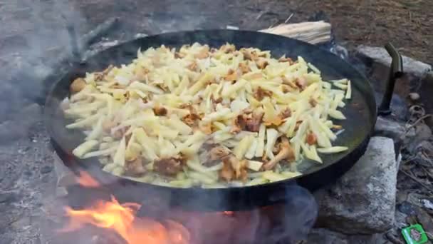 Proceso Cocción Rebozuelos Fritos Con Patatas Plato Champiñones Plato Madera — Vídeos de Stock
