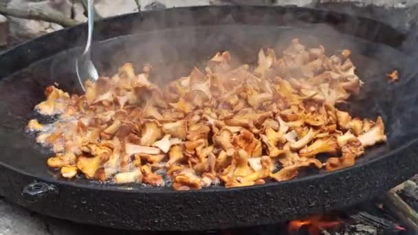 Cooking Chanterelles Big Pan Forest Dish Cooking Delicious Dish Mushrooms — Stock video