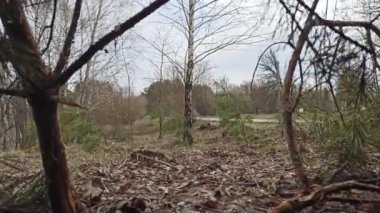 Ambush in forest with Kalashnikov assault rifle. Position defense. War in Ukraine. Secluded shelter for soldiers. View from the soldiers' dugout. War in Ukraine