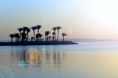 Mahremiyet için güzel bir yer. Adanın üzerinde gün batımı. Deniz üzerinde şafak vakti parlak güneş. Okyanusta palmiye ağaçlarının siluetleri olan bir ada. Coronavirus 'tan uzakta yaz tatili