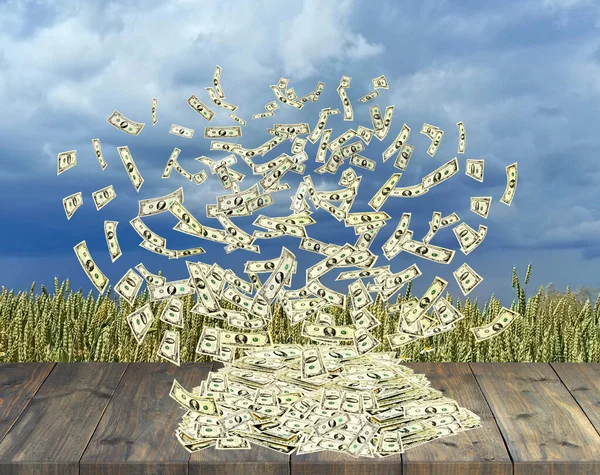 Dollars scatter from pile against background of field of wheat. Agricultural concept. pile of dollars flying away. Wind blowing bunch of dollars on wooden floor. Money on field. Fabulous wealth