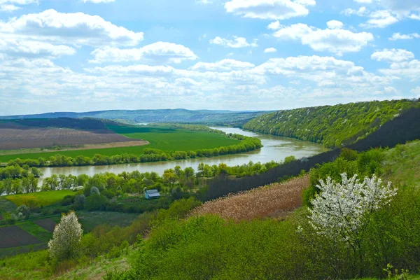 Krajobraz Rzeką Lecie Rzeka Krajobraz Białe Chmury Piękne Lato Krajobraz — Zdjęcie stockowe