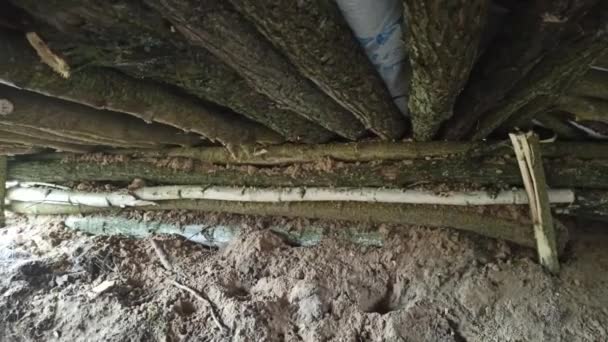 Une Embuscade Dans Forêt Défense Position Guerres Ukraine Fortification Forestière — Video