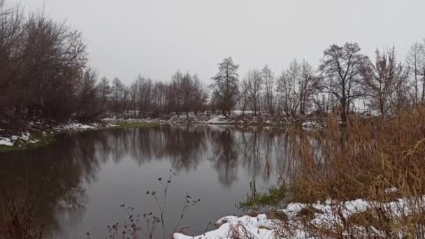 大自然里冬季平静的天气 冬季河流沿着冰冻的海岸流淌 水洗去雪 冬天的河岸 二月的湖水解冻 — 图库视频影像