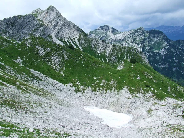喀尔巴阡山脉山峰全景 山中的梅朵风景 高地的草坪 夏天雪山尽收眼底 夏天山上的雪 山区景观 — 图库照片
