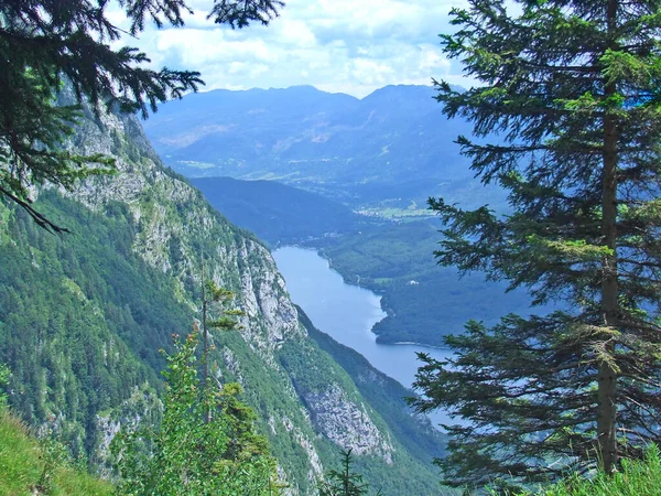 Panorama Der Karpaten Landschaft Den Bergen Rasen Hochland Panorama Des — Stockfoto