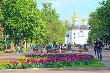 Chernihiv - Ukrayna. 10 Mayıs 2020: insanlar baharda lale yataklarıyla şehir parkında dinleniyor. Ukrayna şehri. Baharda çiçek açan şehir manzarası