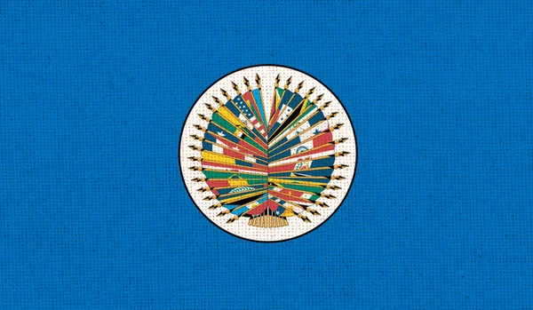 Flag of Organization of American States. OAS Flag. Organization of American States. politico-economic union. flag of the international organization. Fabric texture. political and economic concept