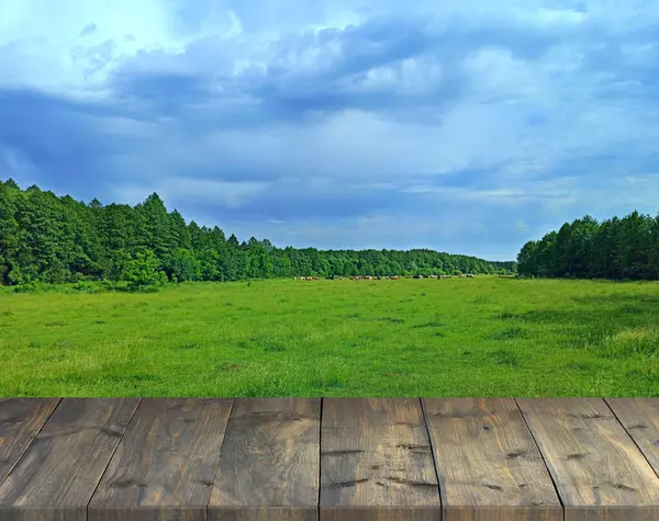 Wooden boards with landscape of forest. Relaxing holiday by the wood. table background of free space for your decoration and sky landscape. Blue sky with wooden stand.