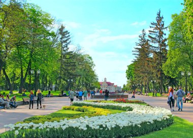 Chernihiv-Ukrayna. 17 Mayıs 2018: insanlar şehir parkında dinleniyor ve baharda lale yatakları dinleniyor. Sakin ol. Chernihiv 'deki şehir parkında. Aile şehir parkında yürüyor.